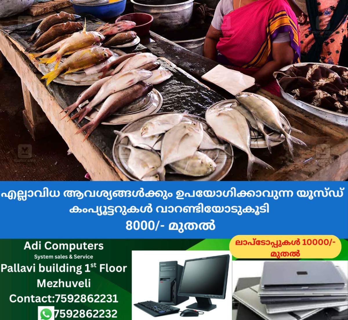 newskerala.net_1766560330_local-news-fish-market