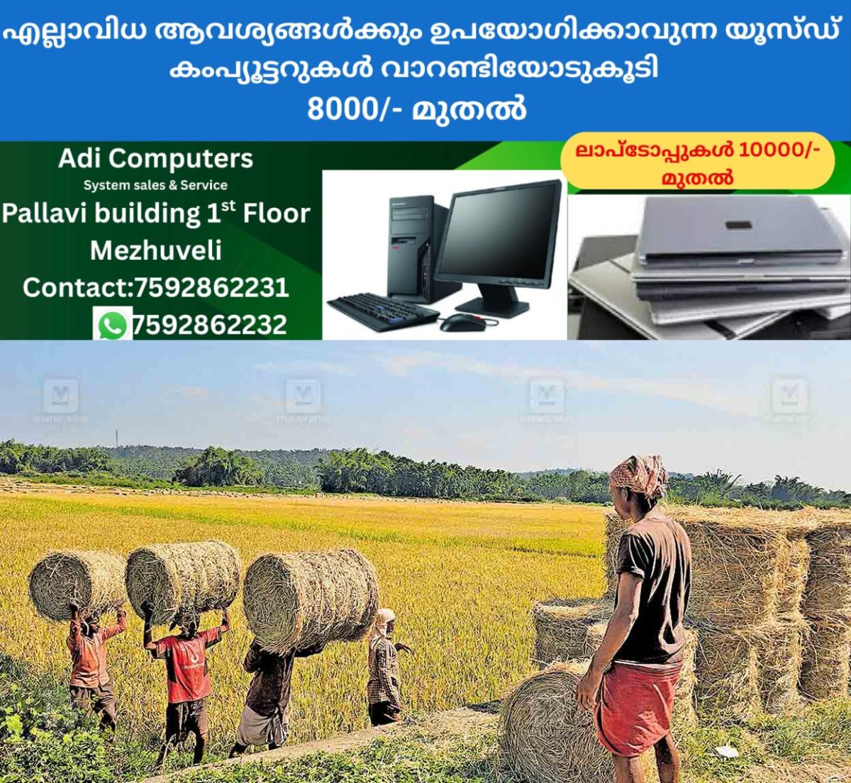 newskerala.net_1766609404_wayanad-panamaram-farming-plot