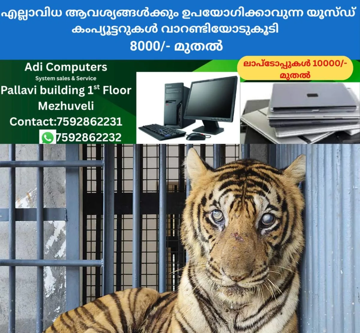 newskerala.net_1766716225_tiger-at-thrissur-park