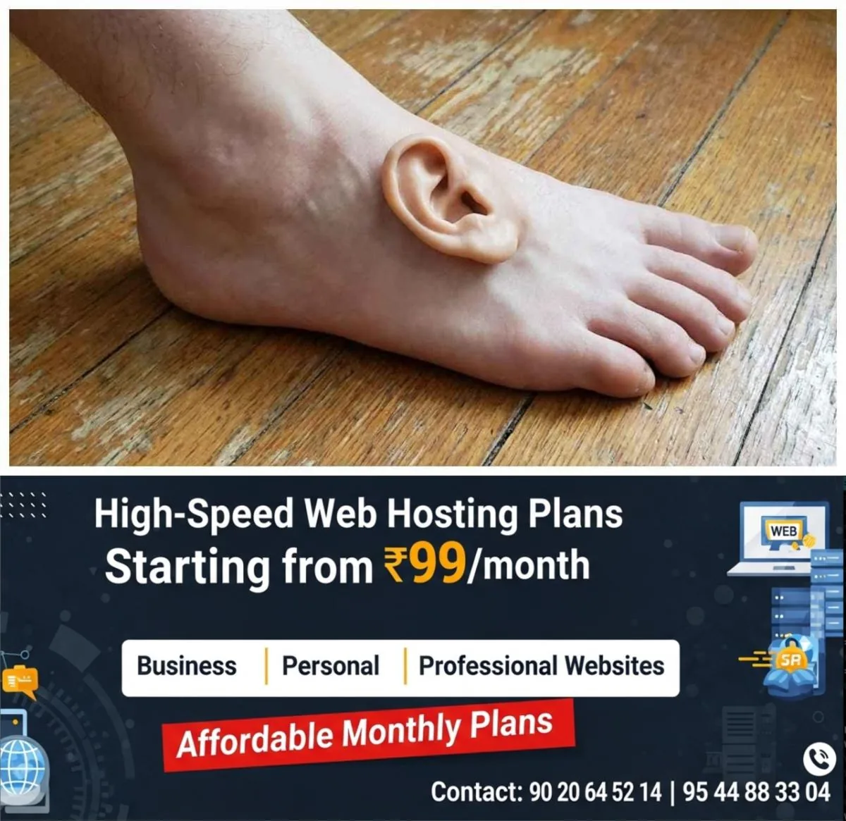 newskerala.net_1766841261_w-1280h-720format-jpgimgid-01kdfyay7ftdwkzebdg4xmzdsbimgname-ear-on-foot-1766840432879
