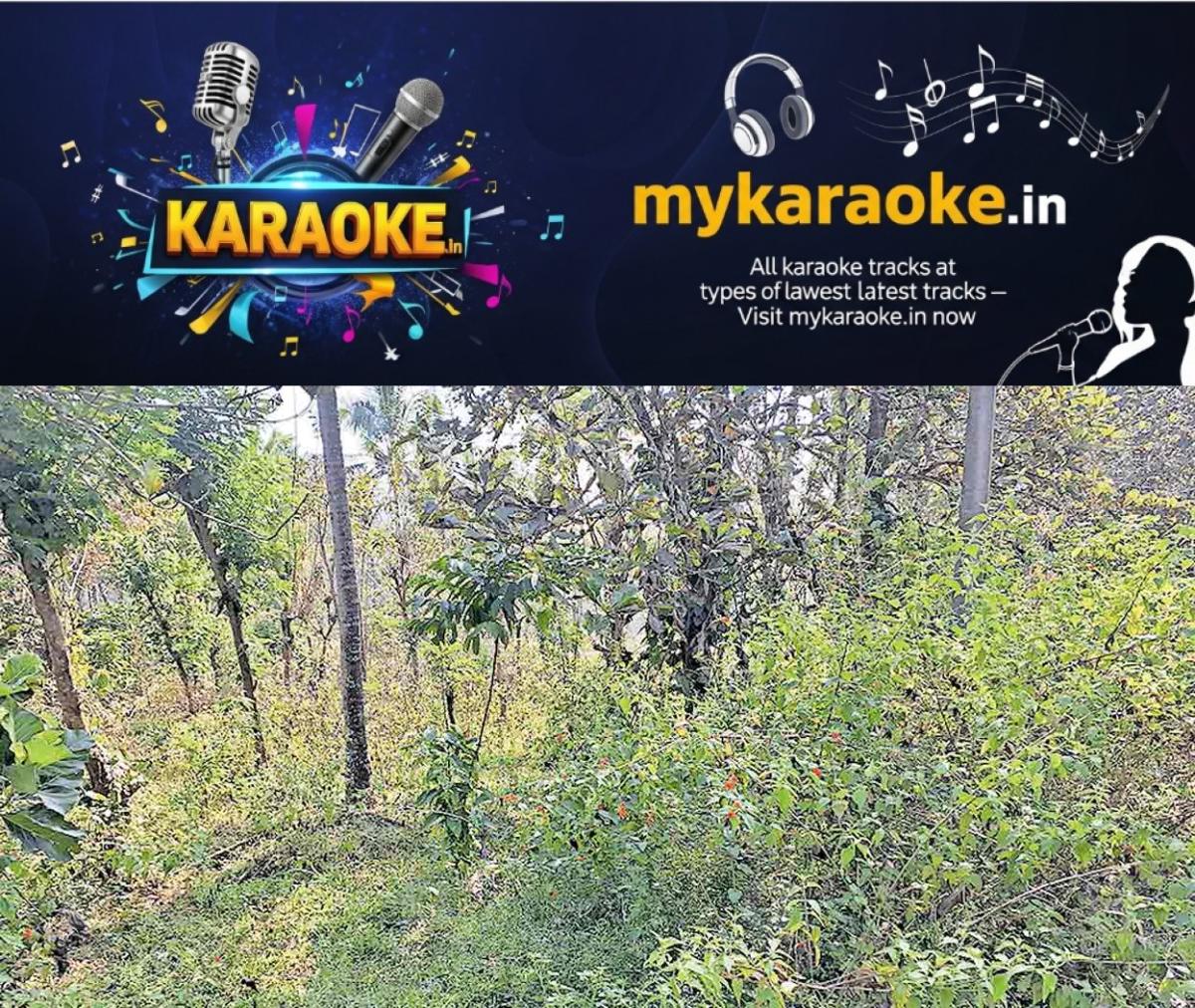newskerala.net_1766987943_wildlife-threat-pulppally