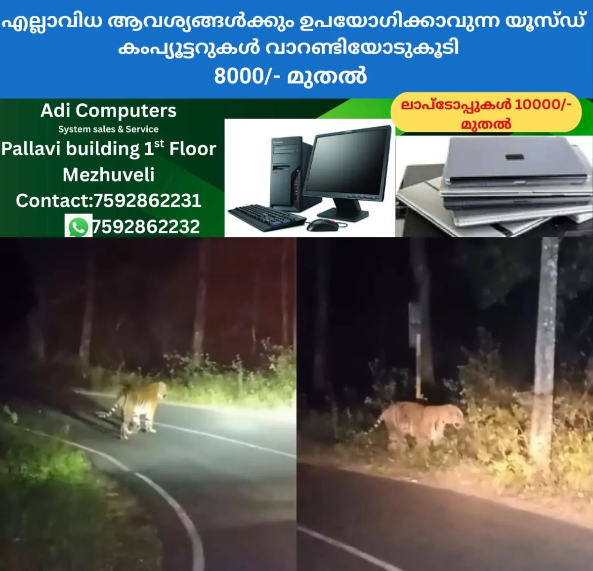 newskerala.net_1767047285_w-1280h-720format-jpgimgid-01kdn3wvaz287y7art8x3616dkimgname-tiger-1767014034783