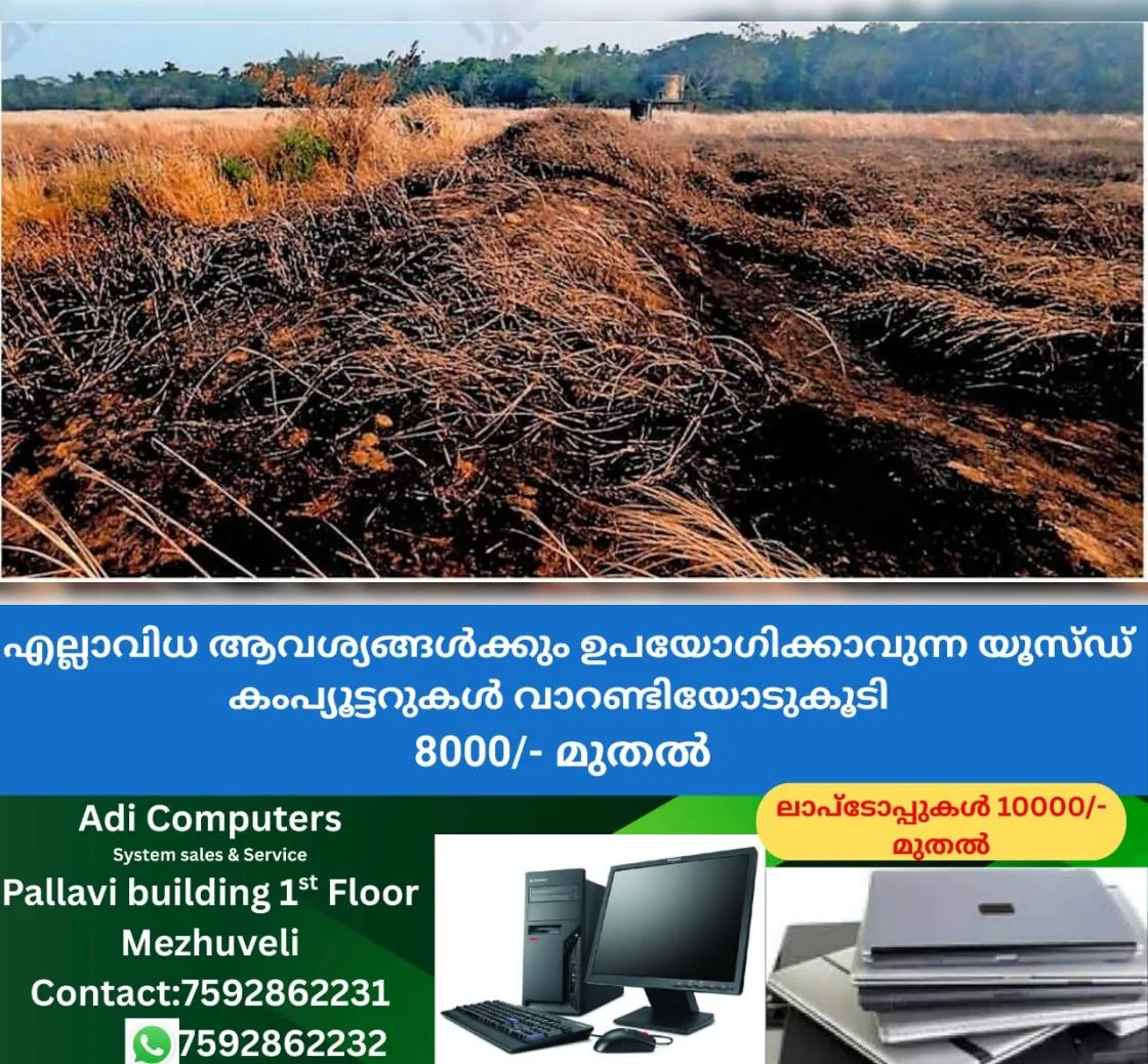newskerala.net_1767086403_df52a65a_380652320_744693_P_8_mr