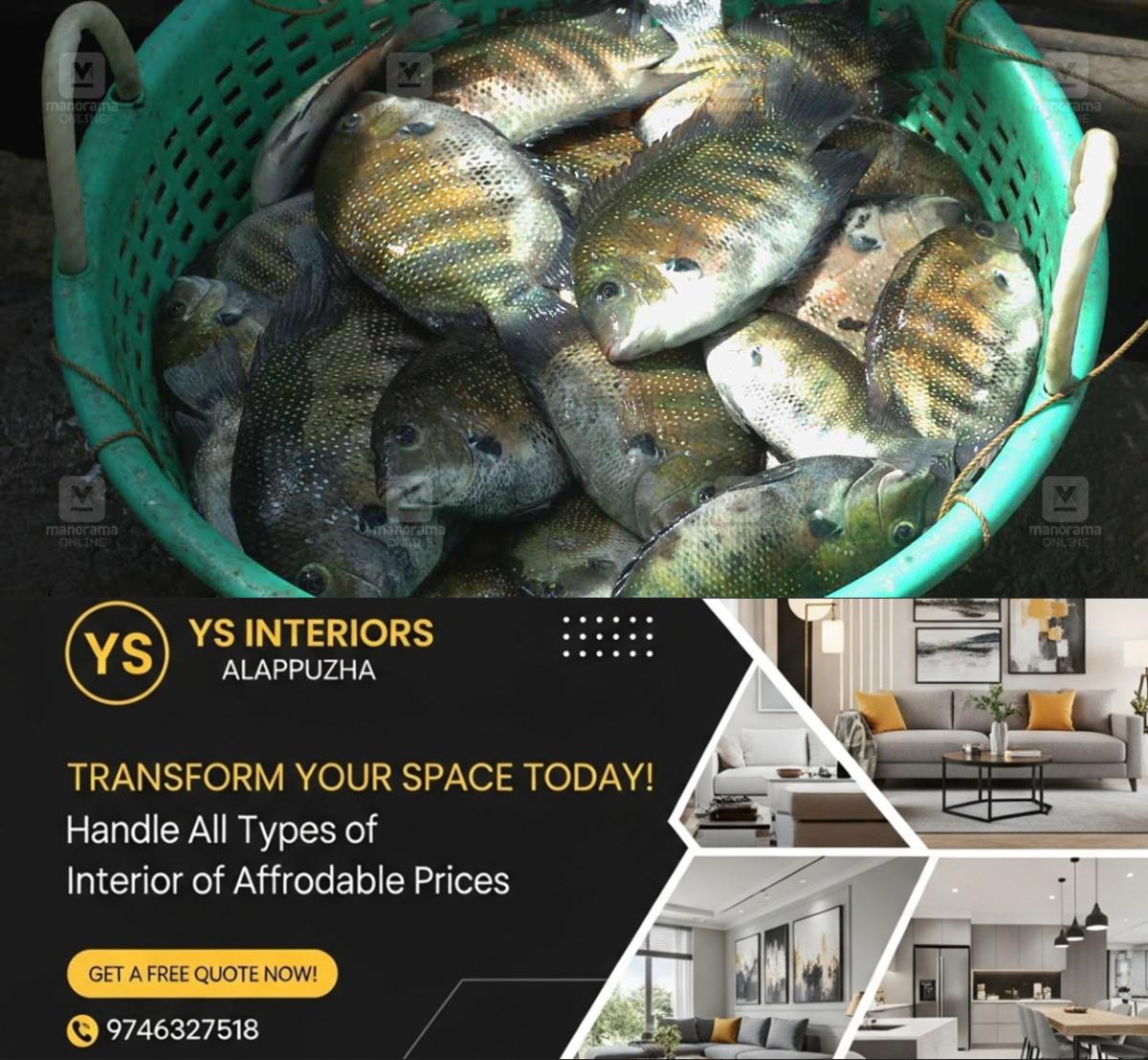 newskerala.net_1767087843_karimeen-availability