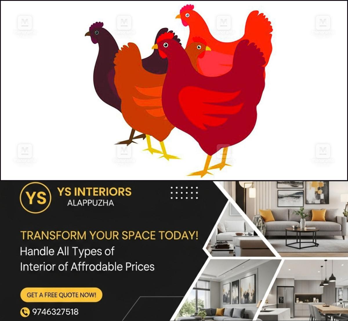 newskerala.net_1767089644_hen-sketch-2