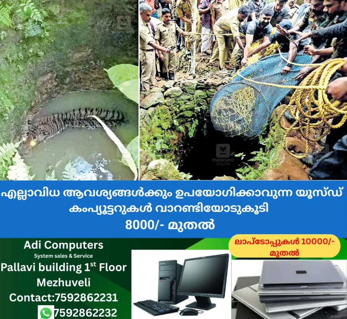 newskerala.net_1767149163_pathanamthitta-tiger-falls-into-well