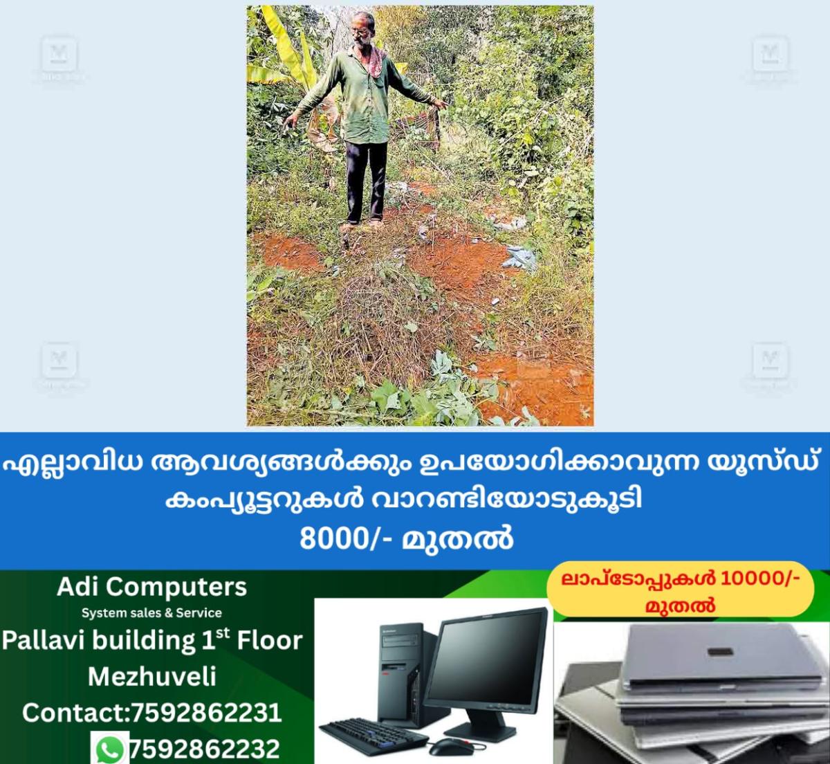 newskerala.net_1767158529_kasargod-wild-boar-attack