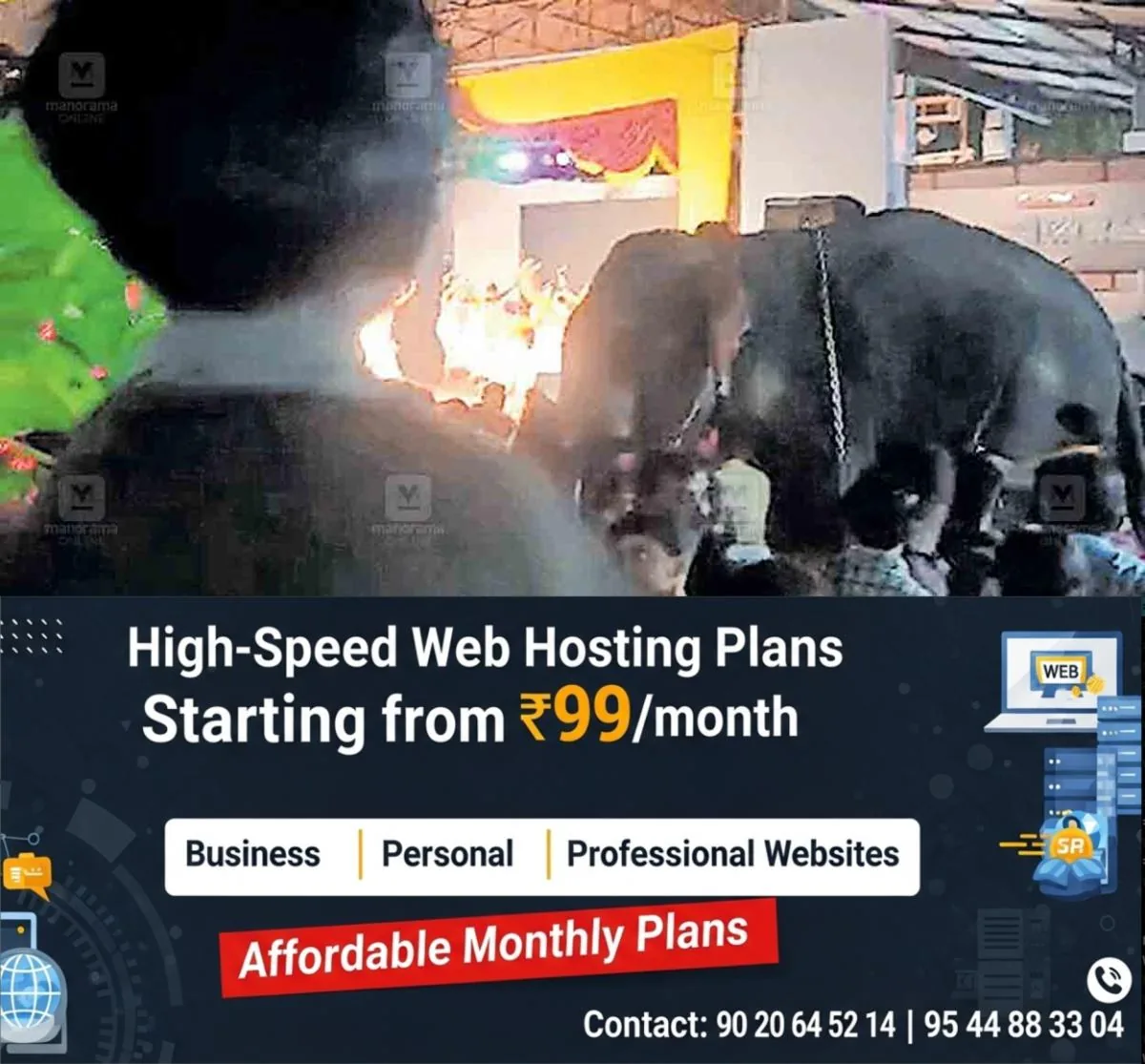 newskerala.net_1767172705_kozhikode-elephant-issue
