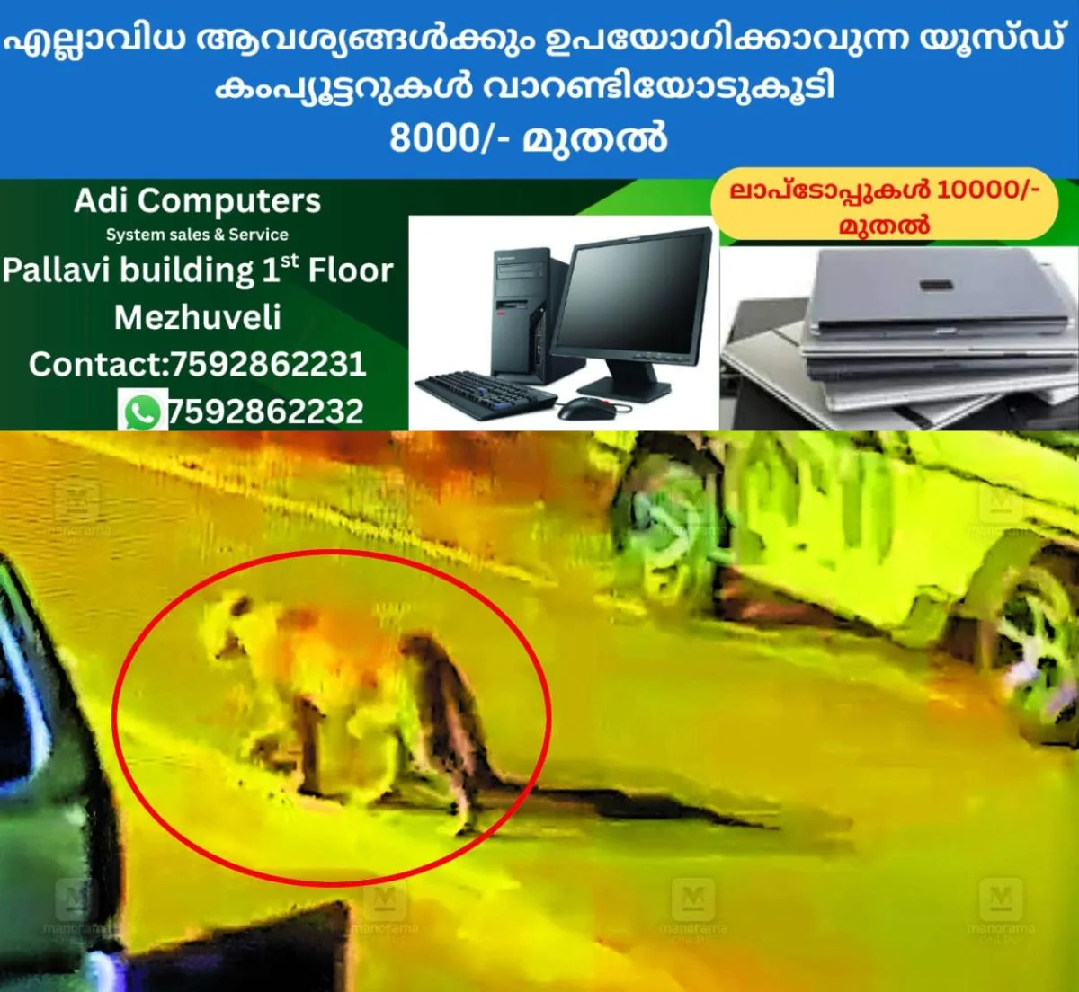 newskerala.net_1767178931_leopard-sightings-1