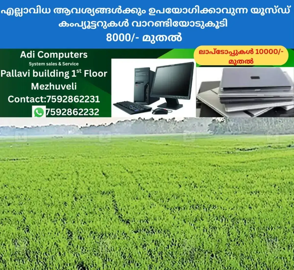 newskerala.net_1767325084_paddy