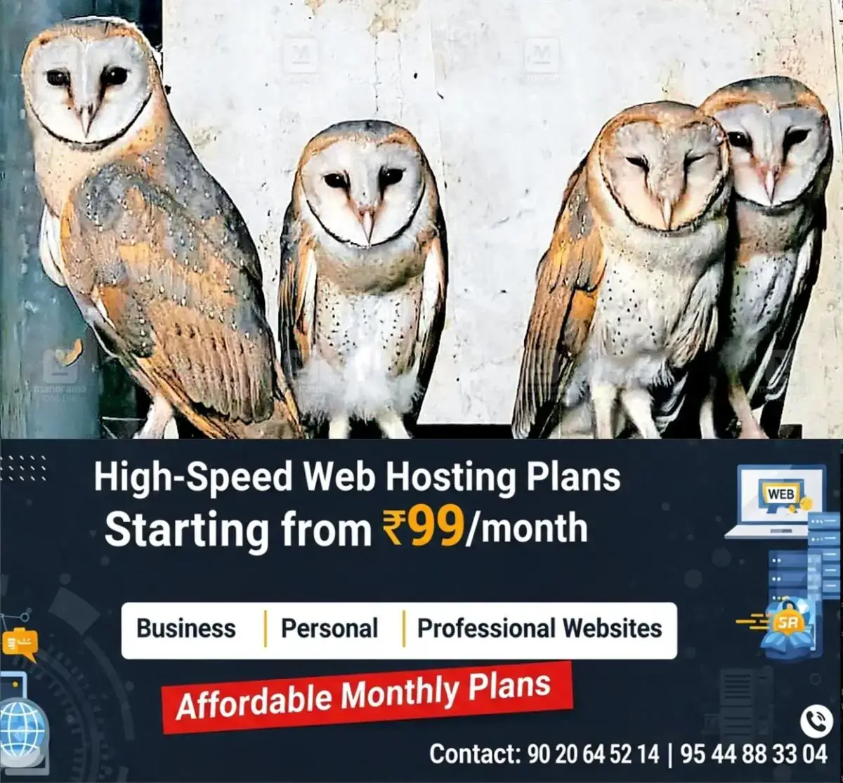 newskerala.net_1767409503_owl-kottayam