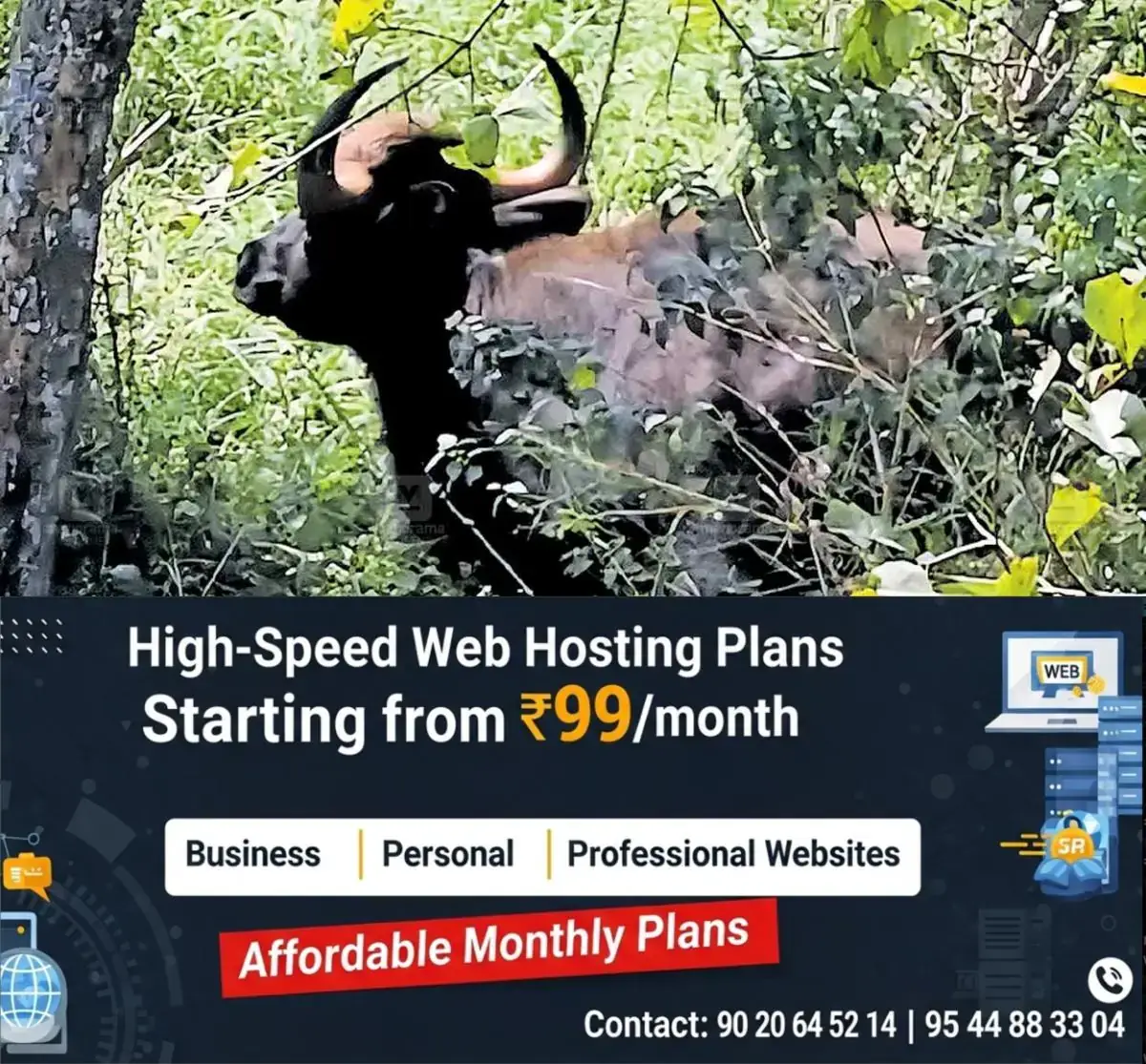 newskerala.net_1767512668_wild-elephant-peermade-wild-gaur-kuttar
