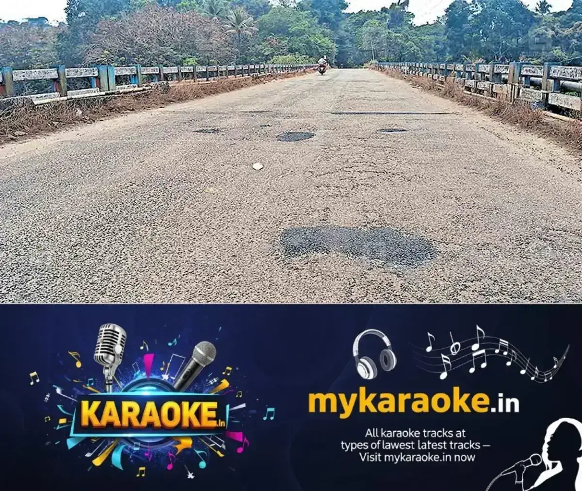 newskerala.net_1767512823_pathanamthitta-kulathoormoozhy-bridge-pothole-closed