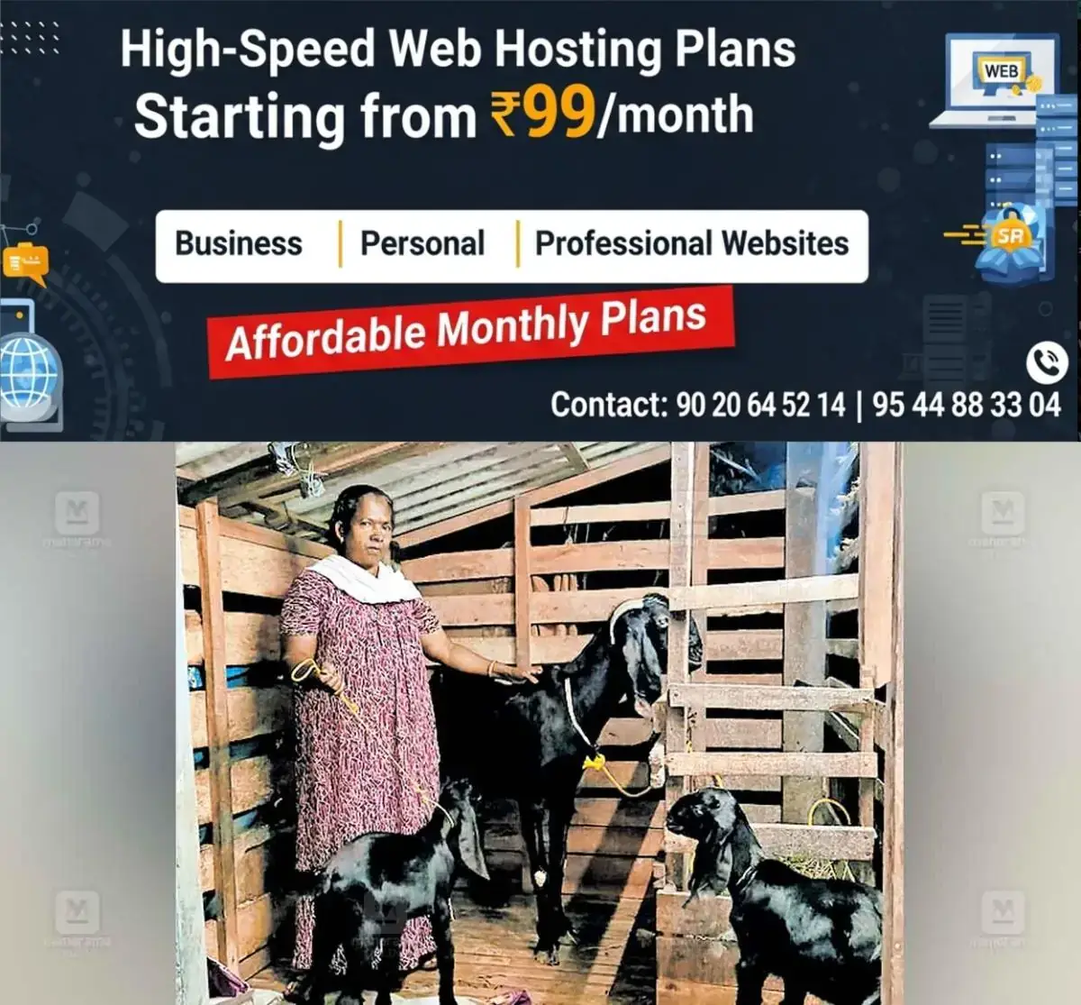 newskerala.net_1767584164_goat-death-compensation-todupuzha
