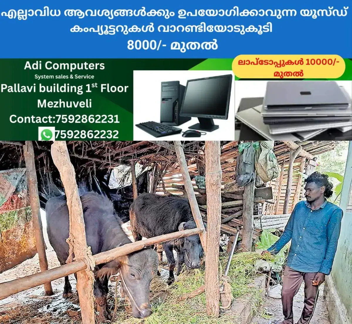 newskerala.net_1767587065_tiger-attack-village-fear
