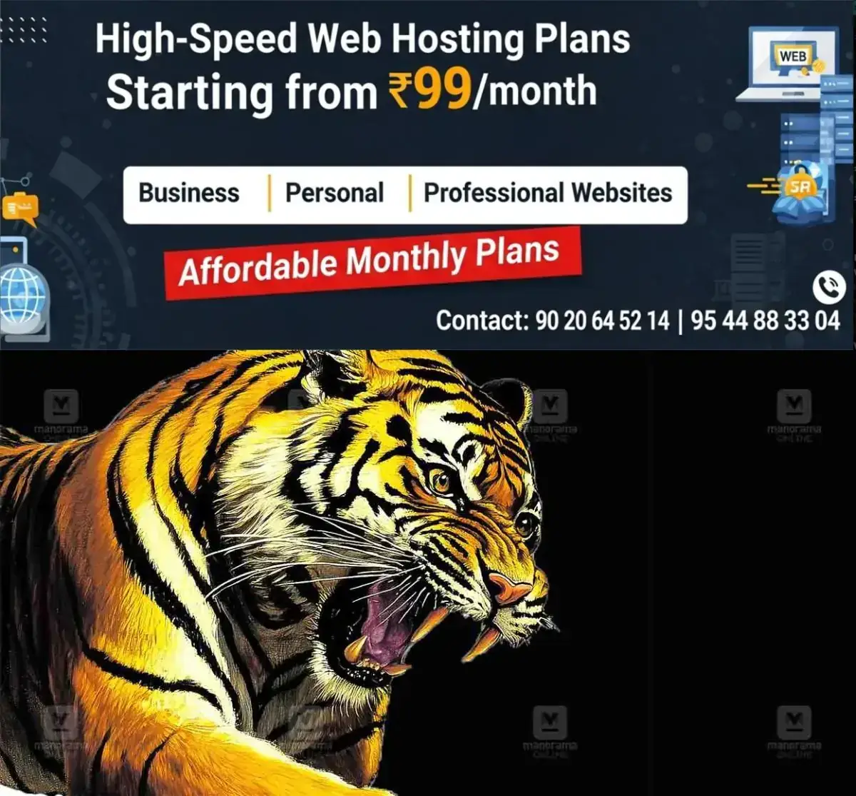 newskerala.net_1767596420_tiger-local-new