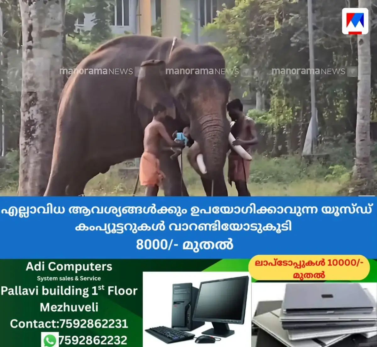 newskerala.net_1767697229_baby-endangered-elephant-stunt