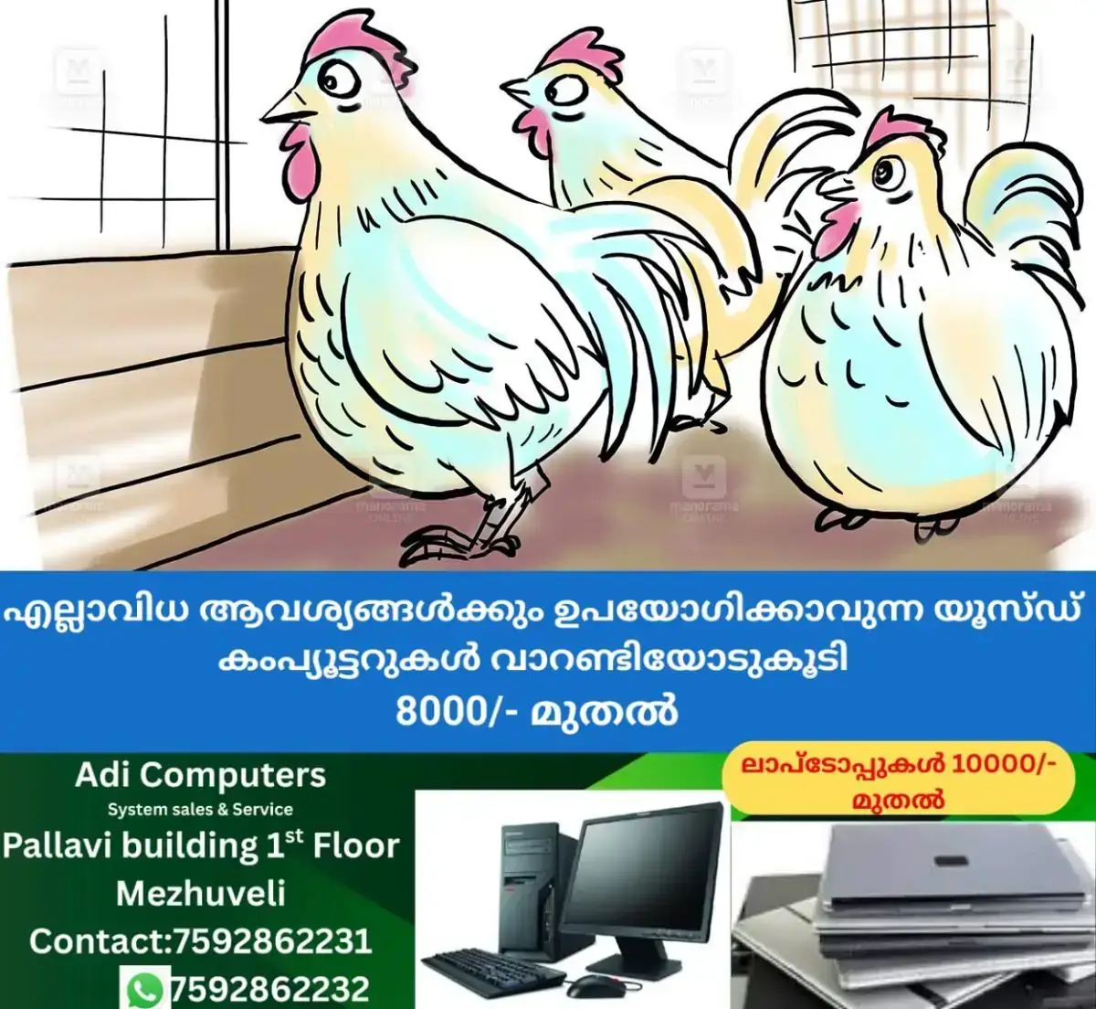 newskerala.net_1767774264_chicken-sketch-1