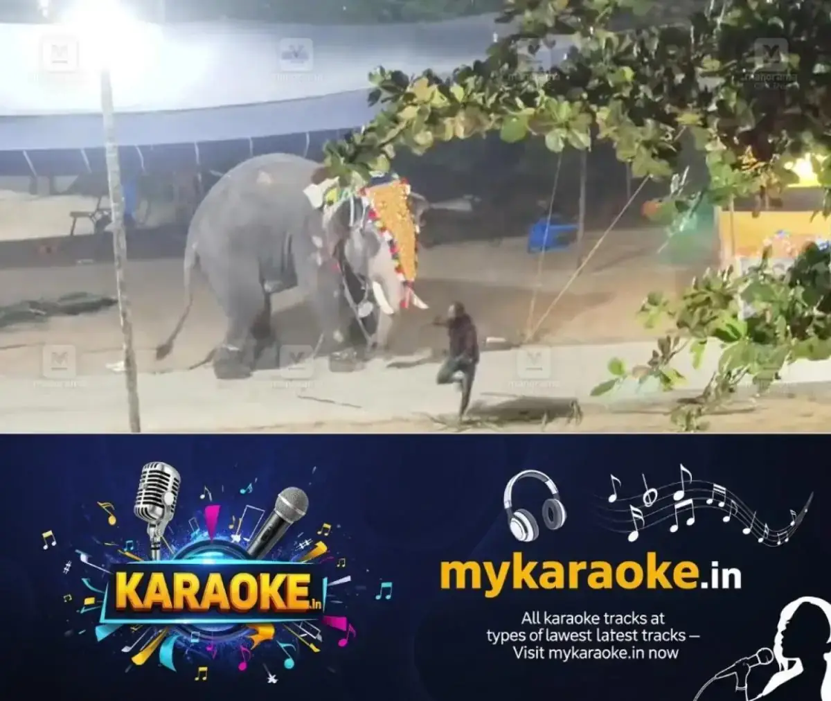 newskerala.net_1767803662_elephant-attack