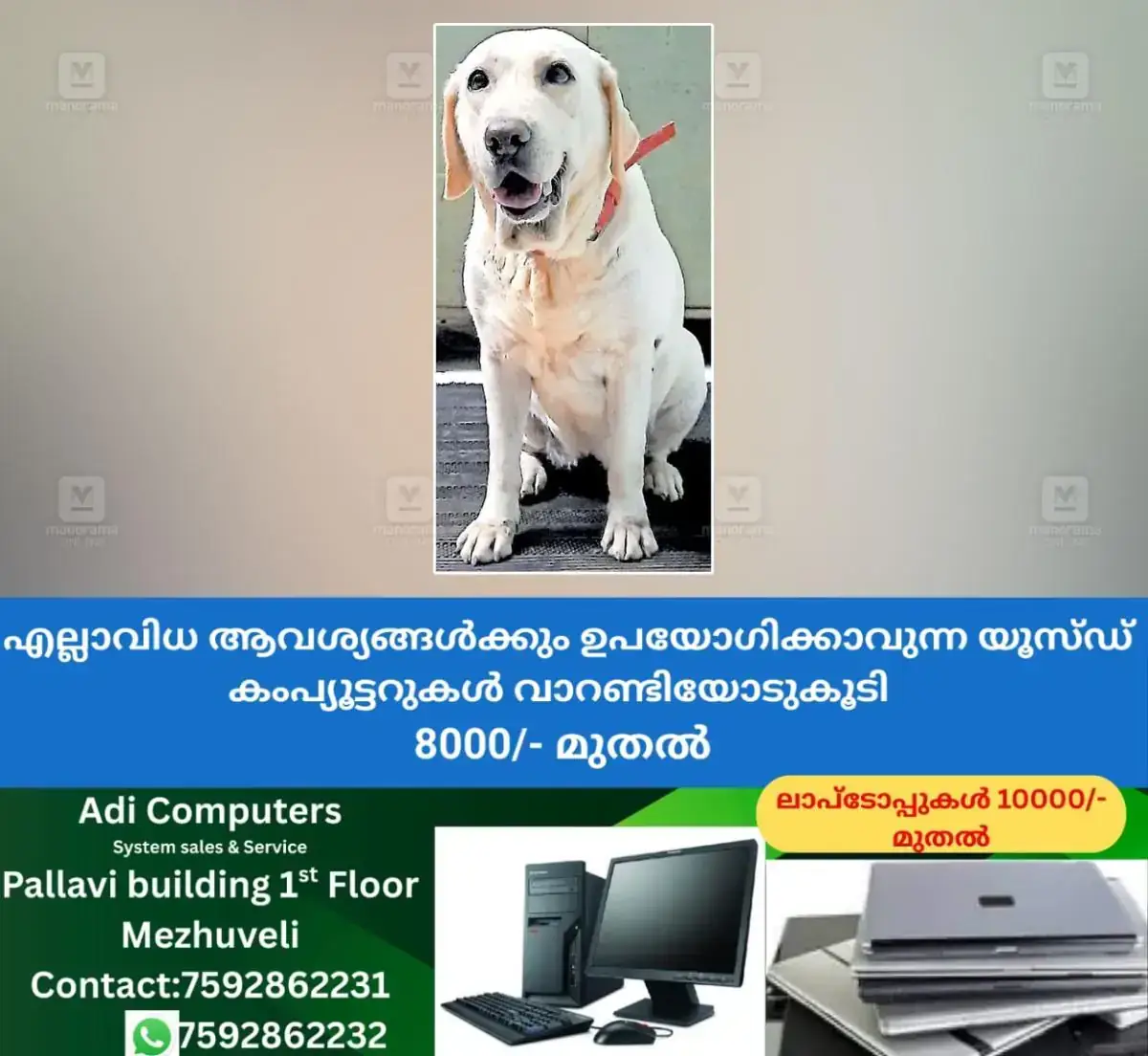 newskerala.net_1767861628_police-dog