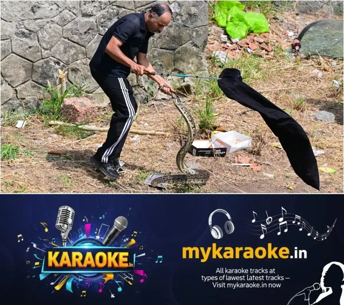 newskerala.net_1767875646_w-1280h-720format-jpgimgid-01kees6dakgd3y2wg7e2j1xy8jimgname-pythons-1767875229011