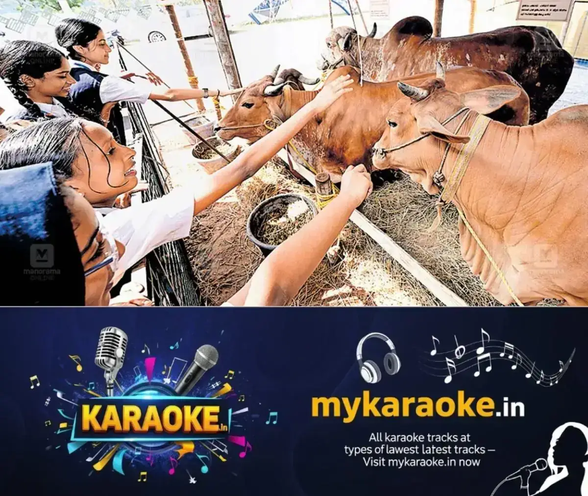 newskerala.net_1767950524_kozhikode-cows-exhibition