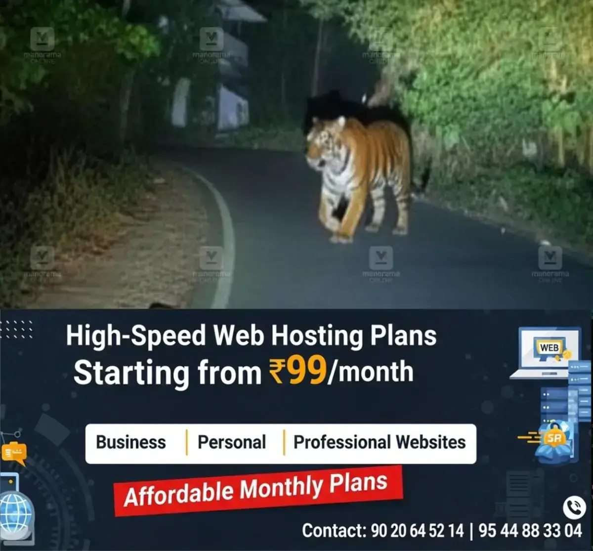 newskerala.net_1768017963_tiger