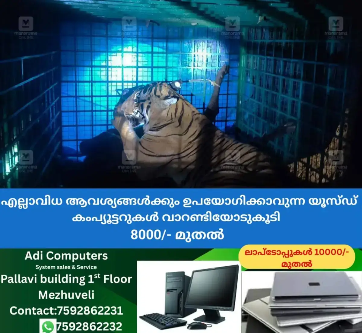 newskerala.net_1768020243_iritty-tiger