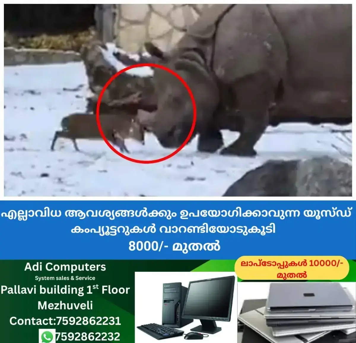 newskerala.net_1768064783_w-1280h-720format-jpgimgid-01kemdjm2496cqv102t43q8cc4imgname-eer-attacks-a-rhinoceros-1768064372