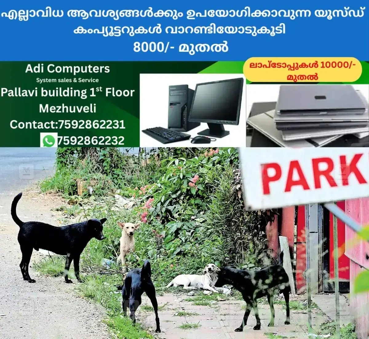 newskerala.net_1768103284_1768103185_kottayam-stray-dogs