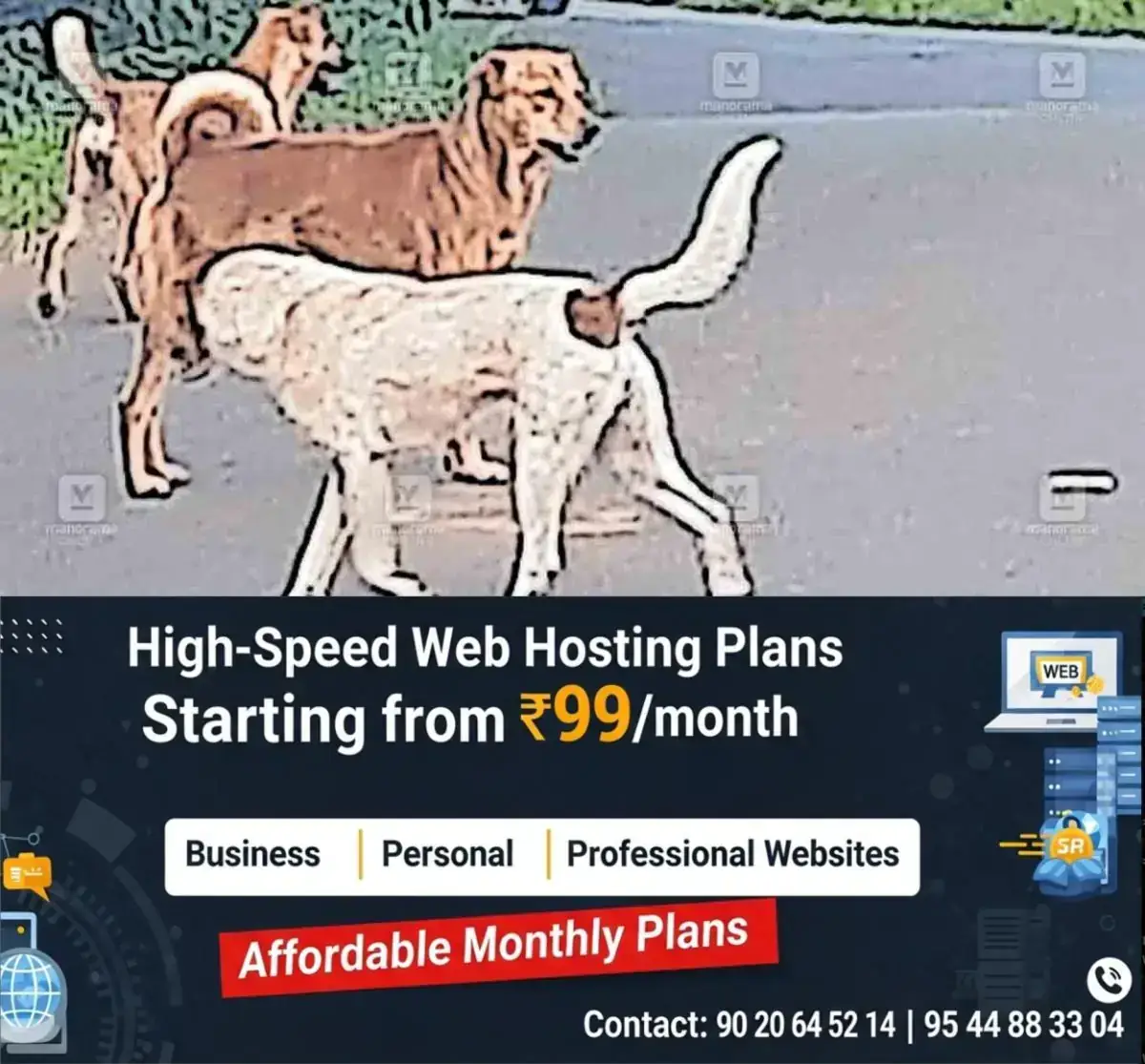 newskerala.net_1768125265_stray-dog-issue