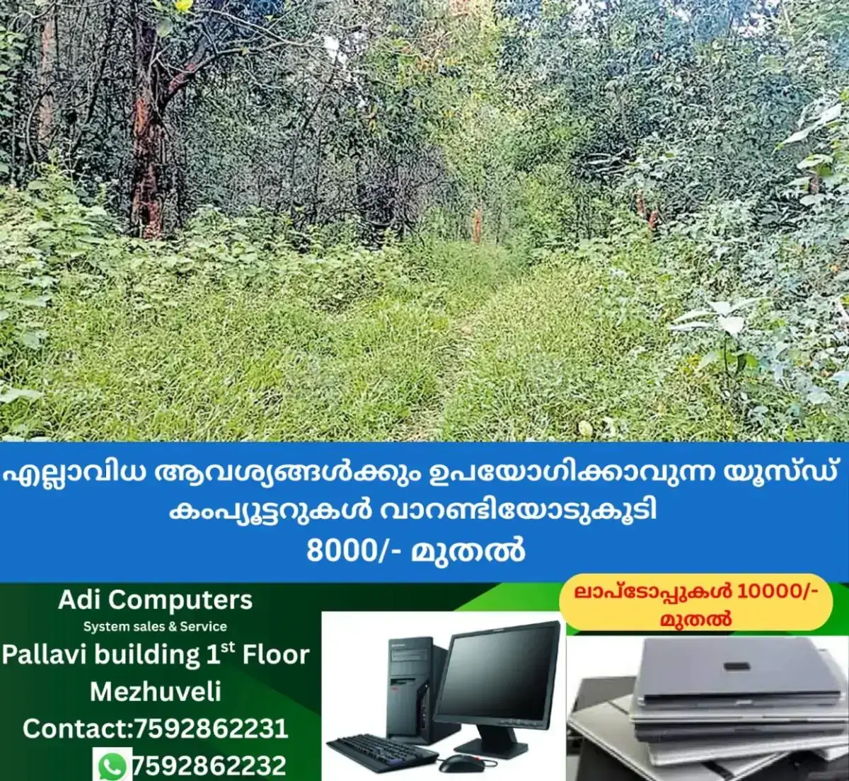 newskerala.net_1768200393_wildlife-ernakulam