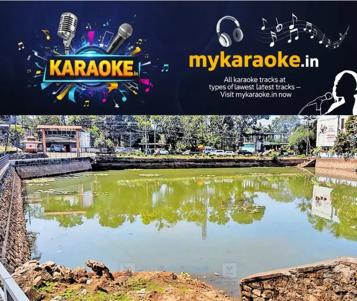 newskerala.net_1768202532_pallichira