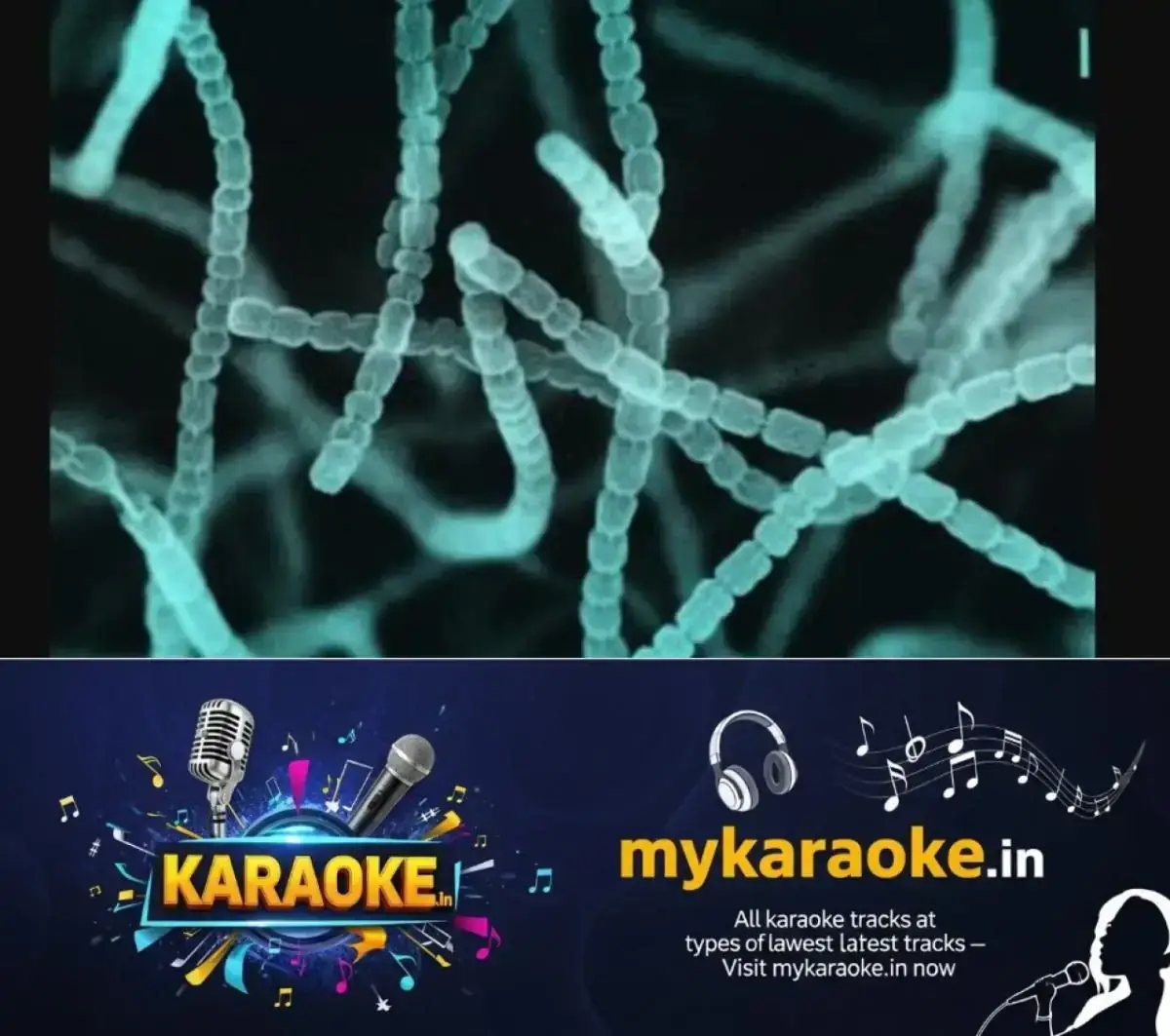 newskerala.net_1768243564_w-1280h-720format-jpgimgid-01kesh99cw47n9kmjeg1f7njpaimgname-state-microbe-1-1768236033436