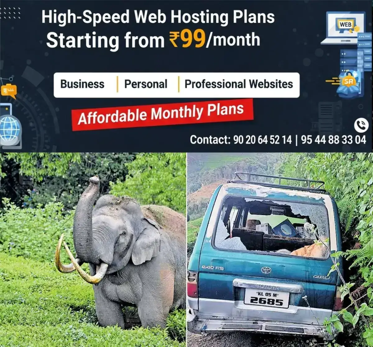 newskerala.net_1768282324_padayappa-elephant-attack
