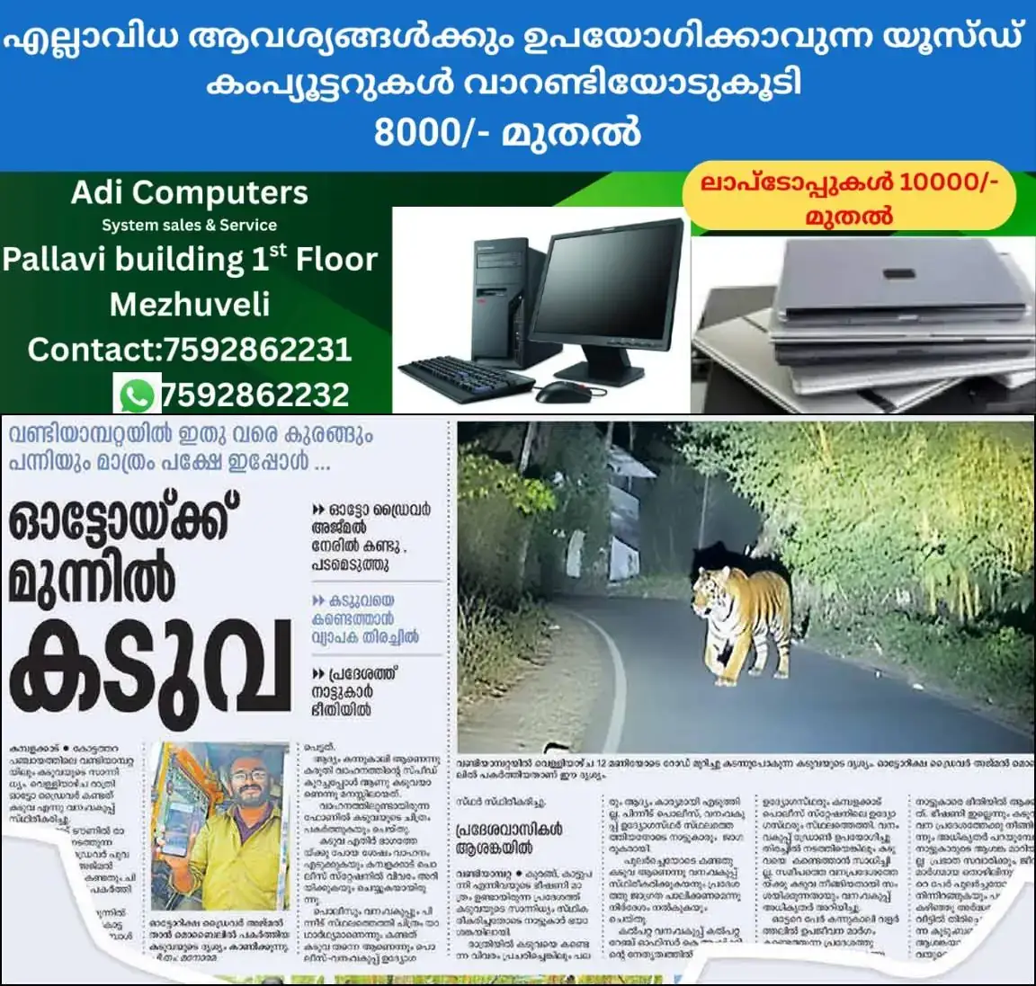 newskerala.net_1768287245_tiger-news