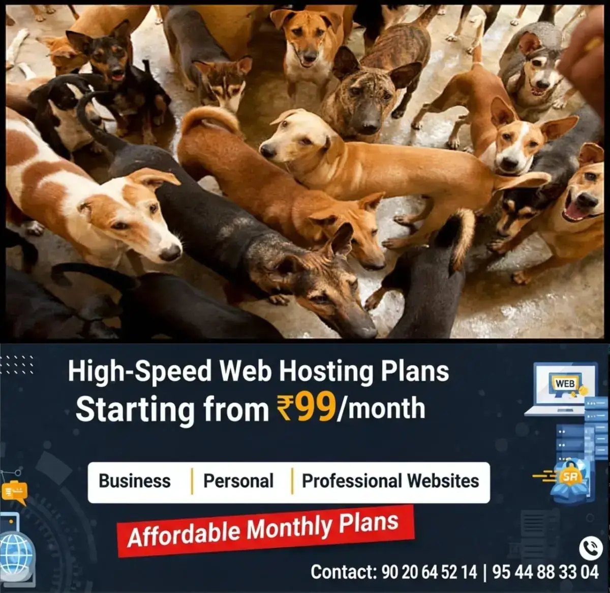 newskerala.net_1768336104_w-1280h-720format-jpgimgid-01kebry6a1yn9qeb849pe21ndpimgname-supreme-court-stray-dogs-road-safet
