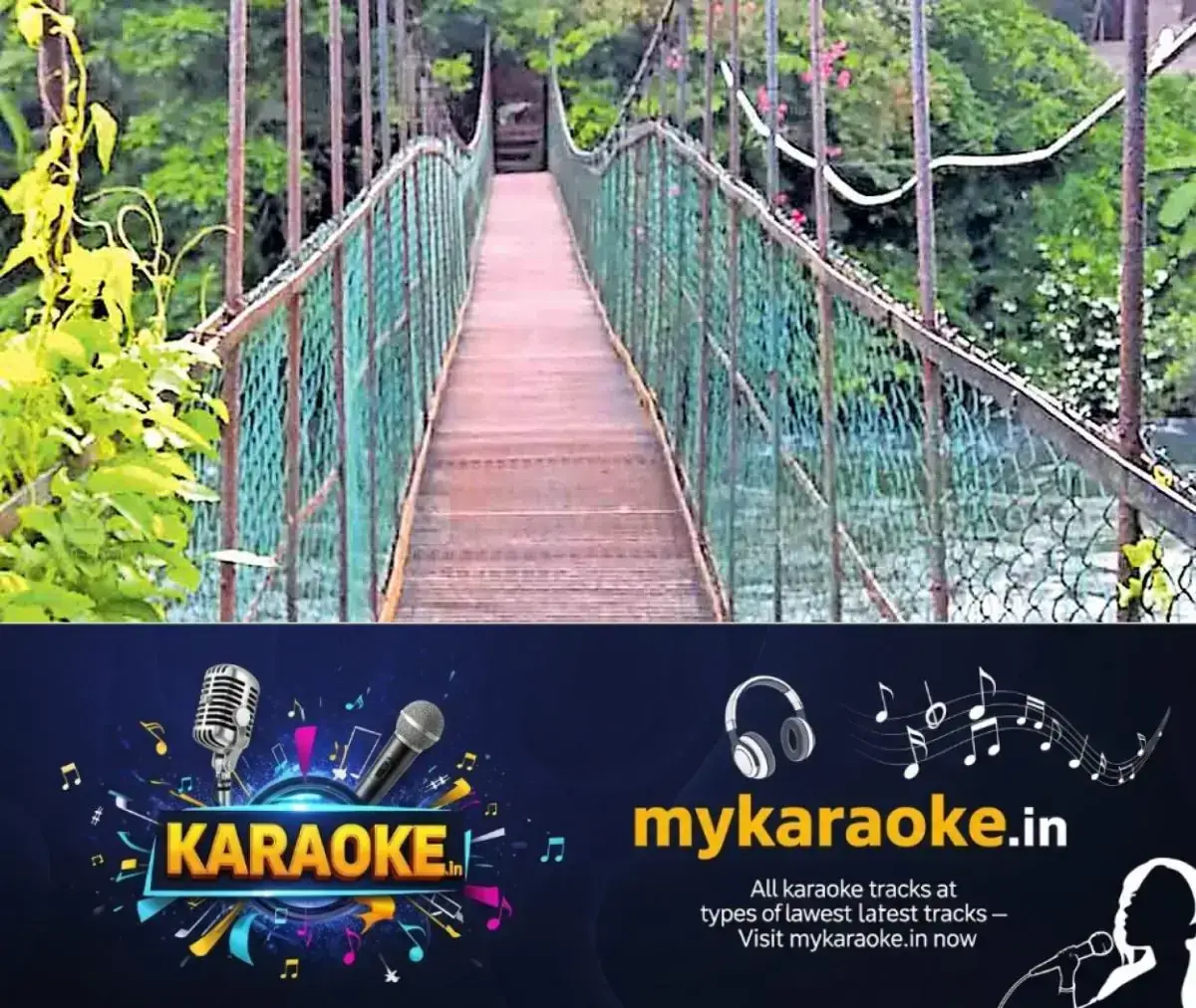 newskerala.net_1768364287_idukki-haging-bridge