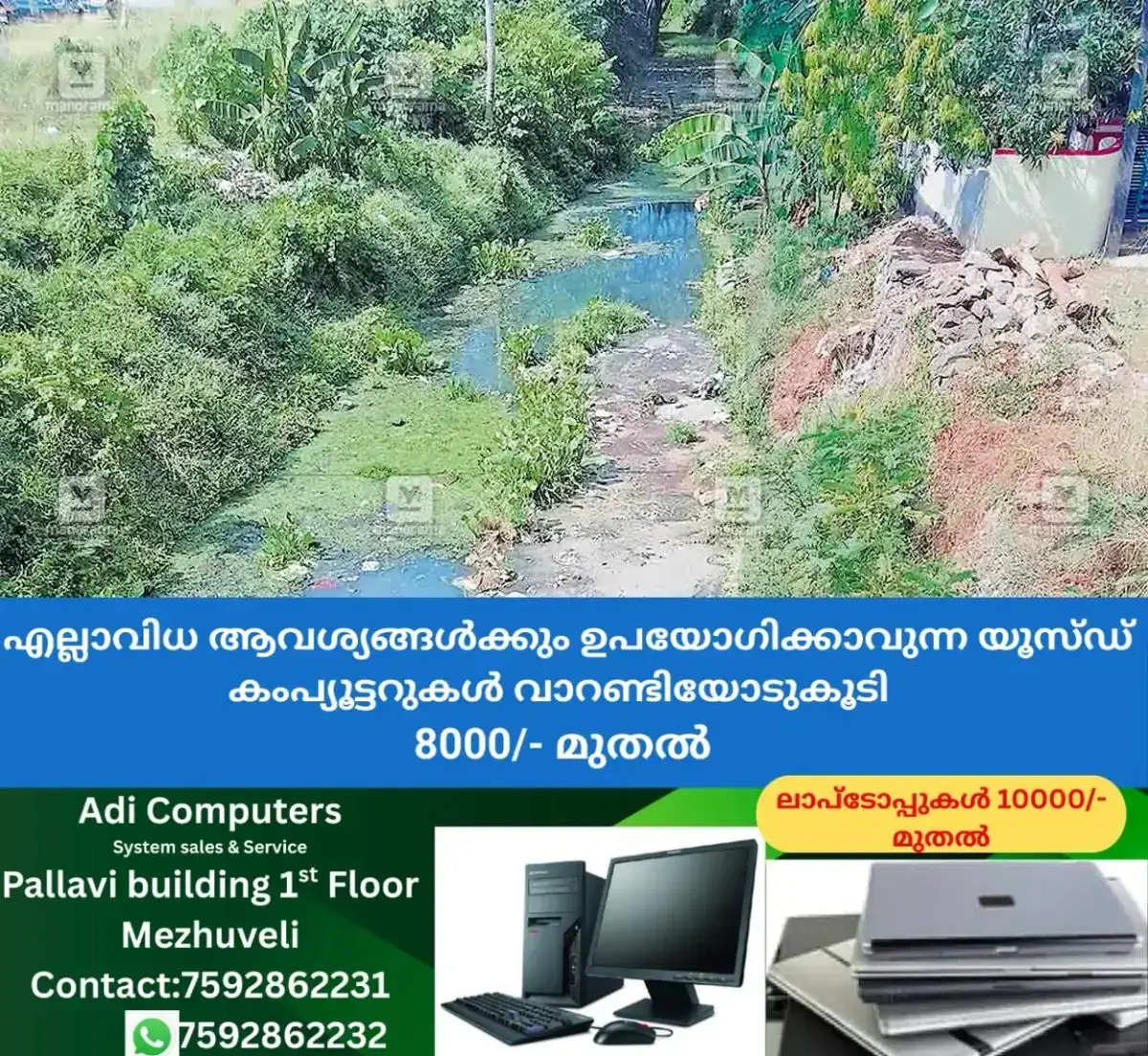 newskerala.net_1768366444_pandalam-muttar-pond