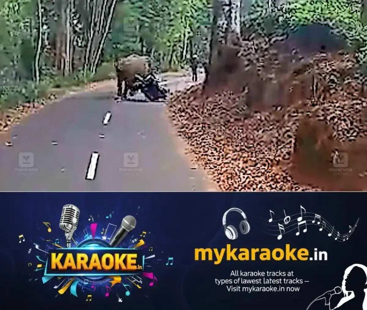 newskerala.net_1768467747_palakkad-wild-elephant-attack-valparai