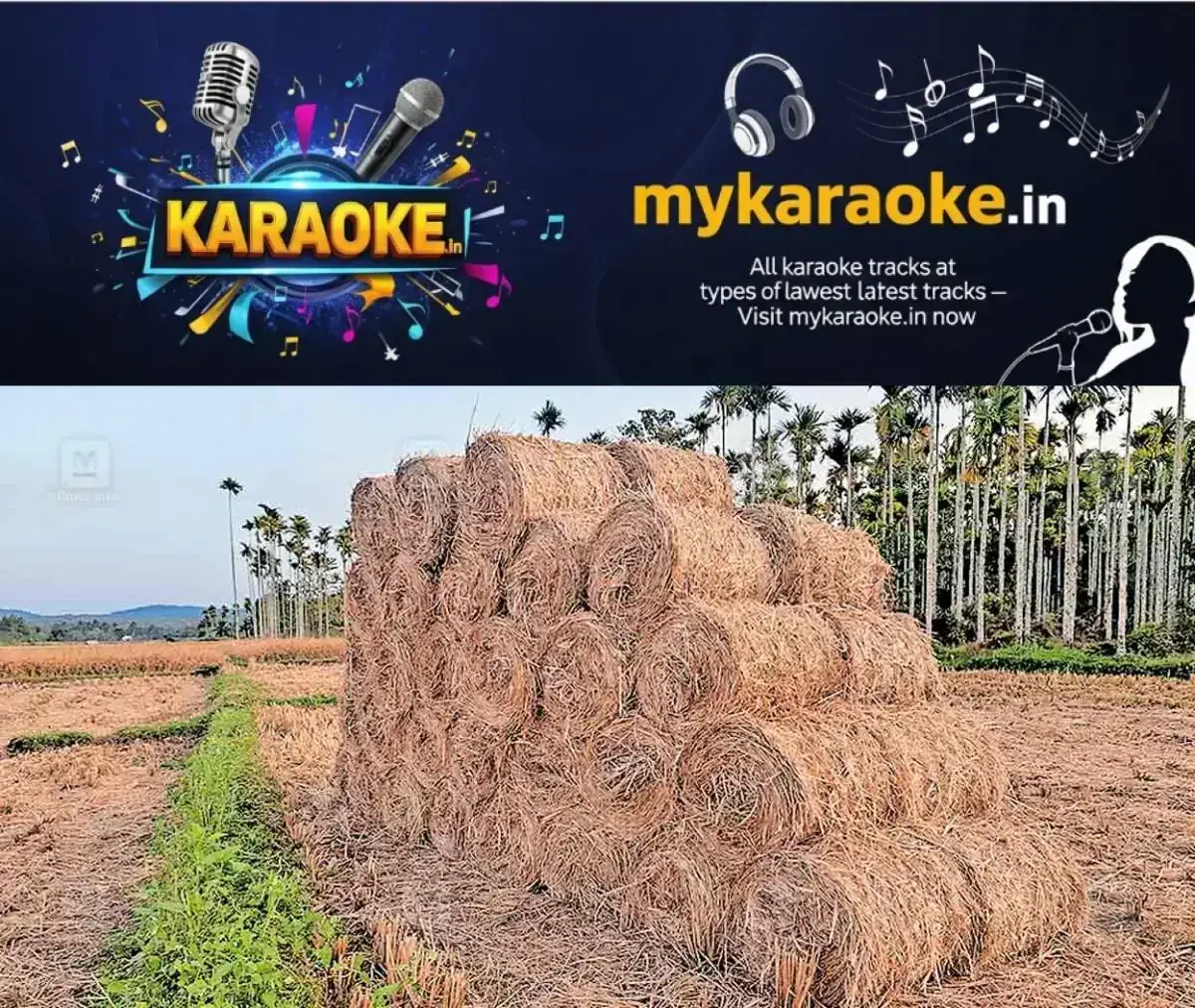 newskerala.net_1768537325_hay-demand-decline-pulpally