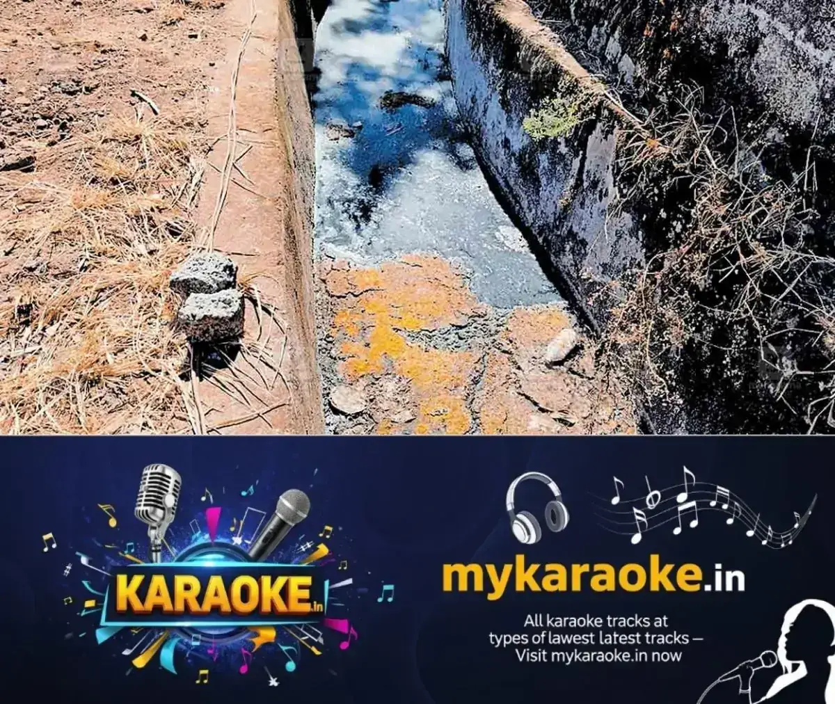 newskerala.net_1768541284_mannarkkad-waste