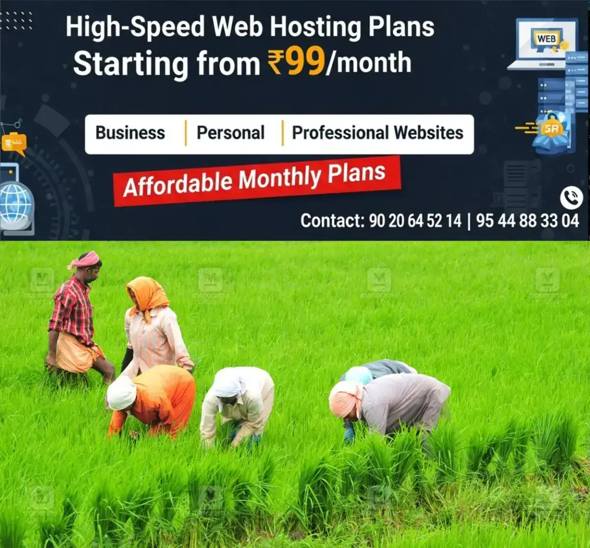 newskerala.net_1768647384_kuttanad-paddy-fields-1