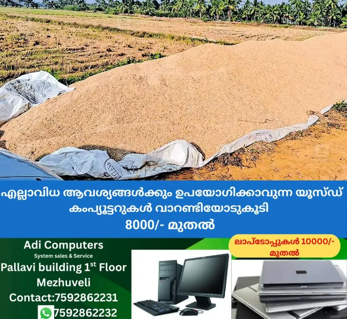 newskerala.net_1768706524_1768706408_paddy