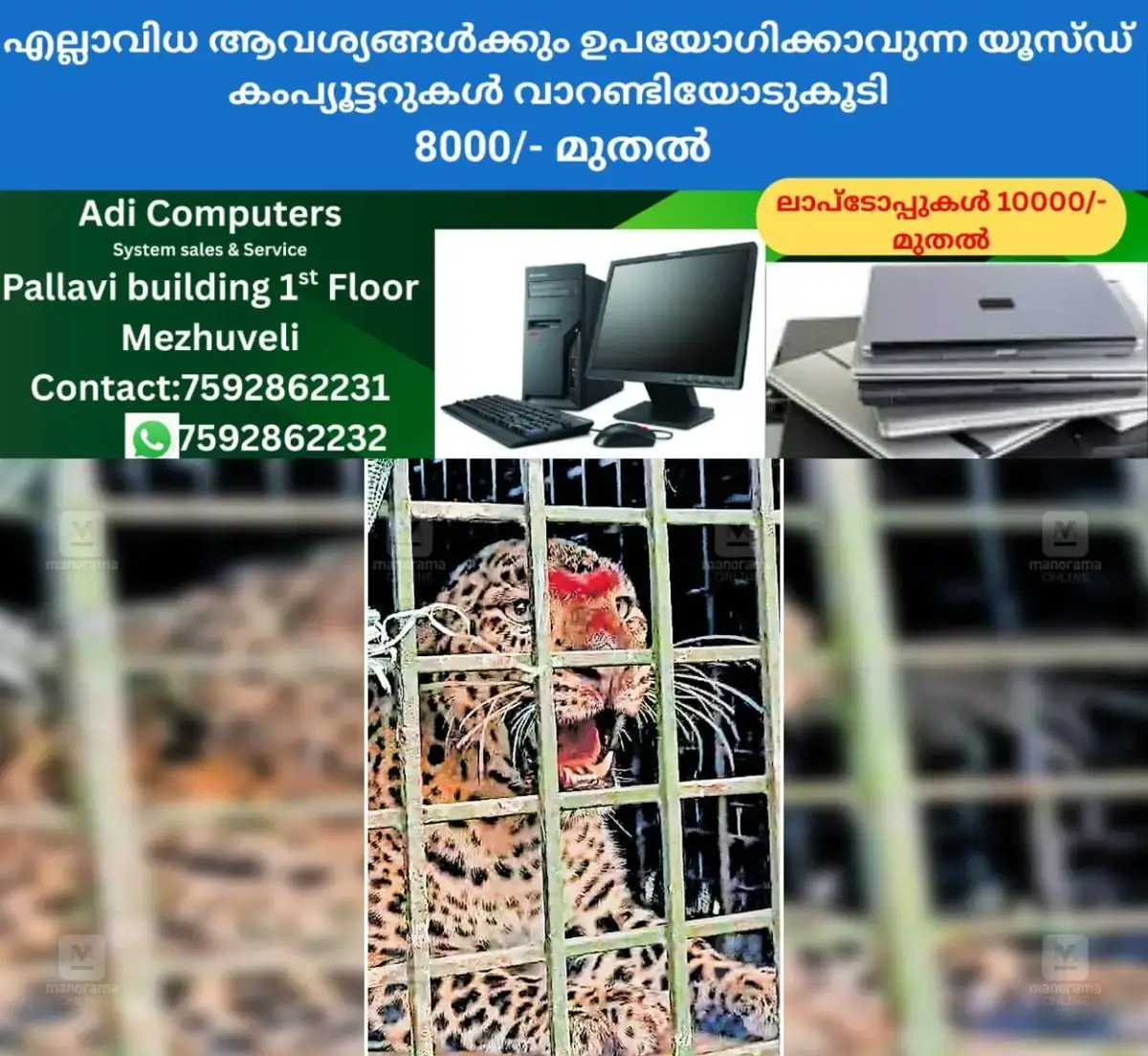 newskerala.net_1768723945_palakkad-leopard