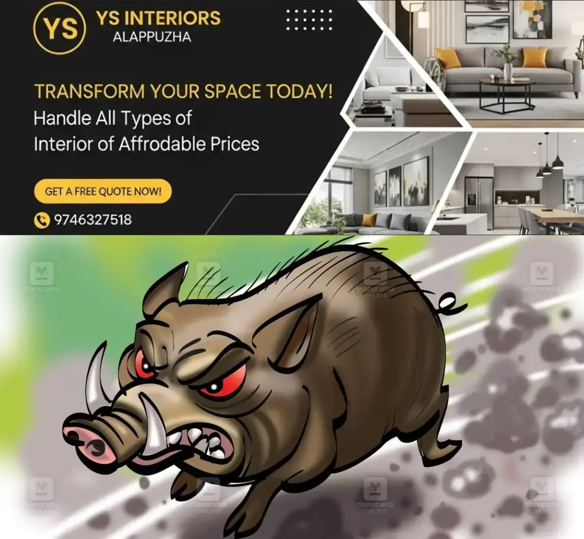 newskerala.net_1768886065_1768885929_wild-boar