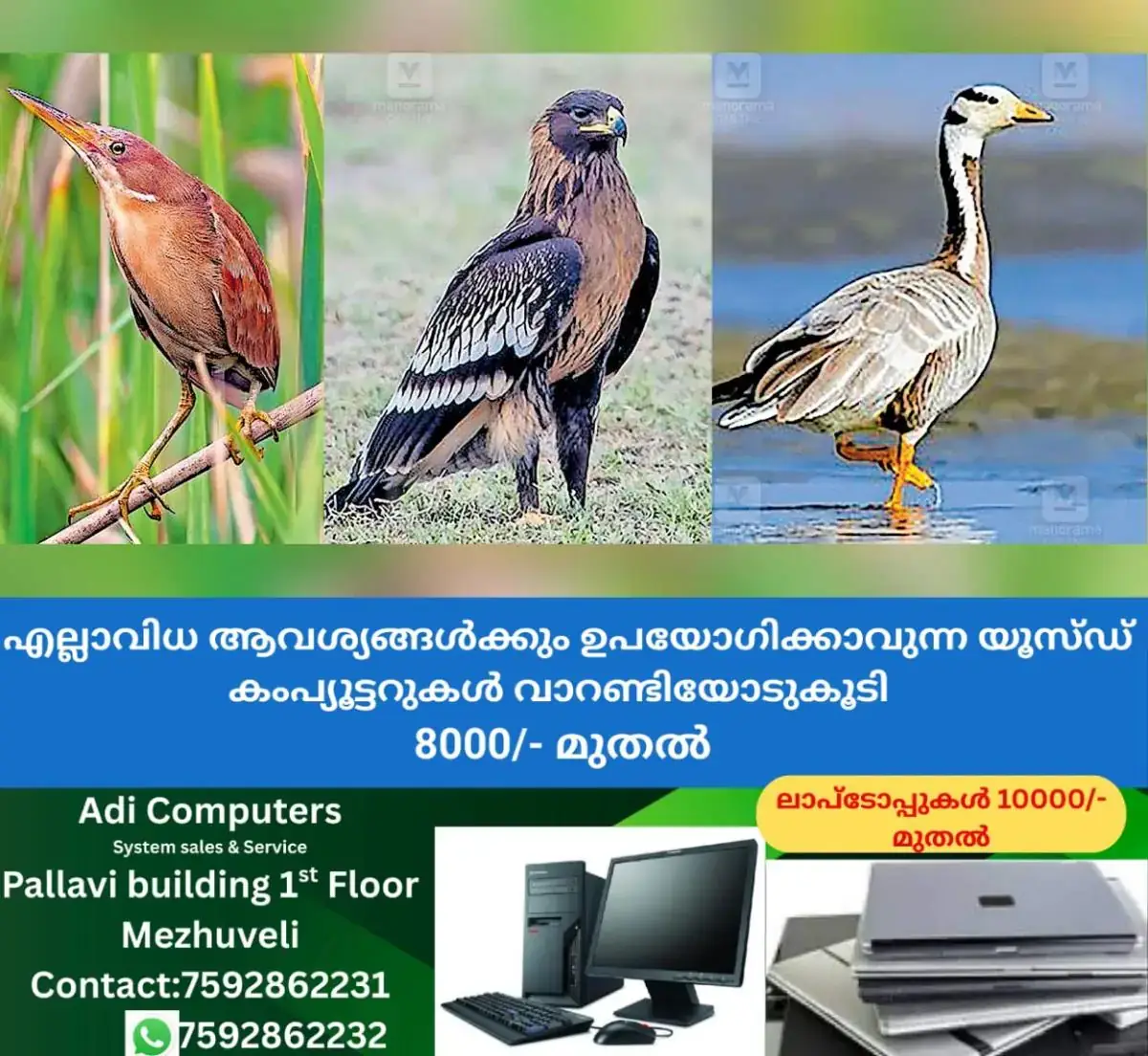 newskerala.net_1768924105_wayanad-bird-survey
