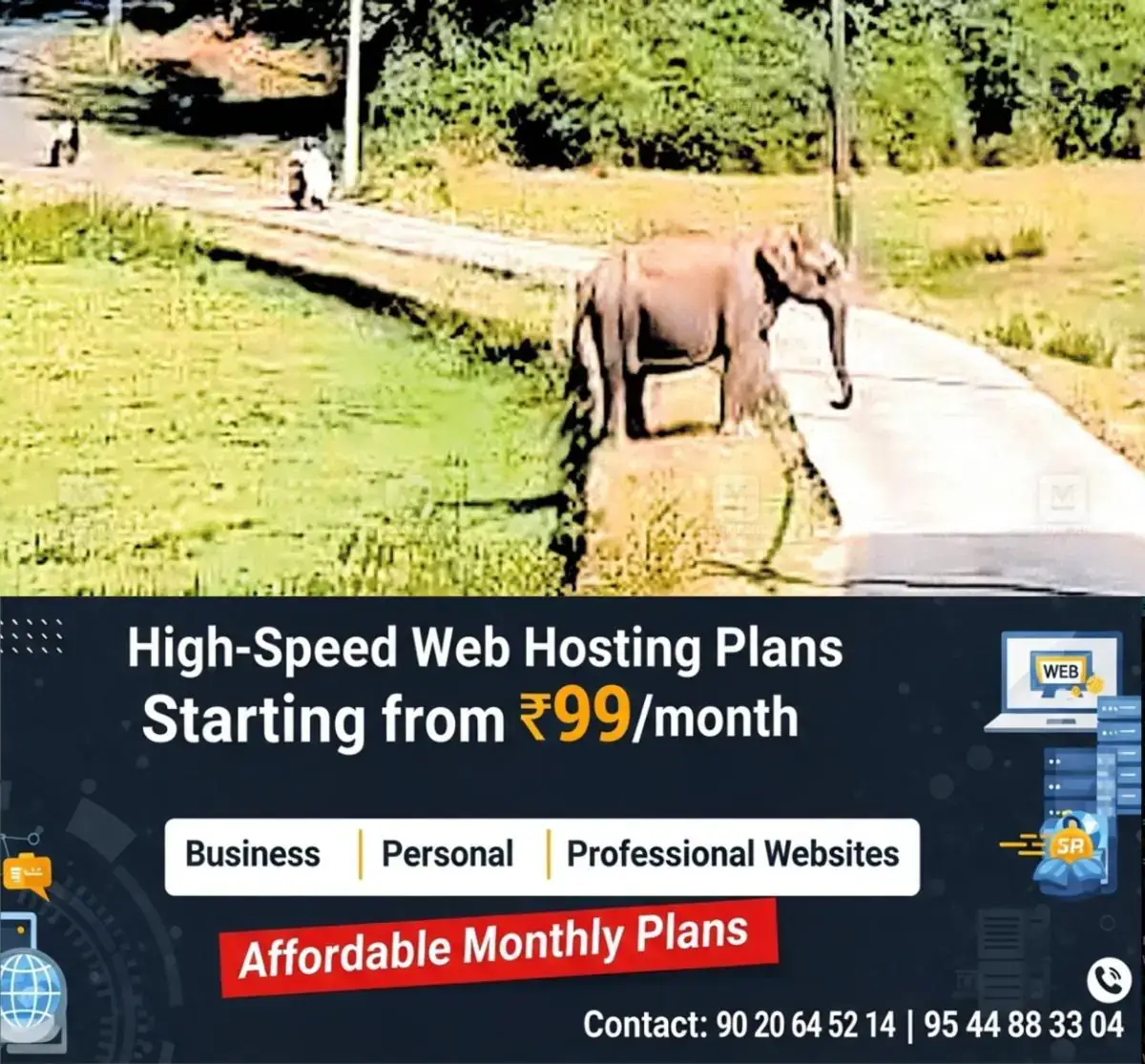 newskerala.net_1768928284_wayanad-elephant-attack