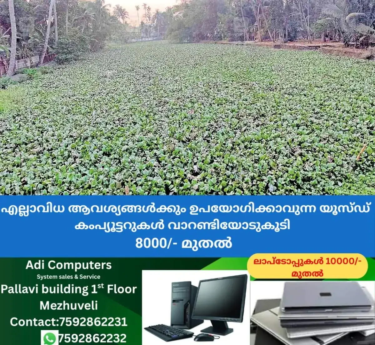 newskerala.net_1768962723_mankom-vegiatation-1