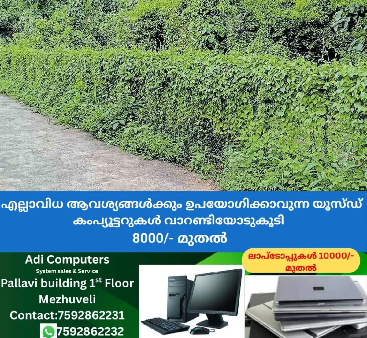 newskerala.net_1769073008_alappuzha-overgrown-vegetation-pottamelkadavu-chathakutty-path